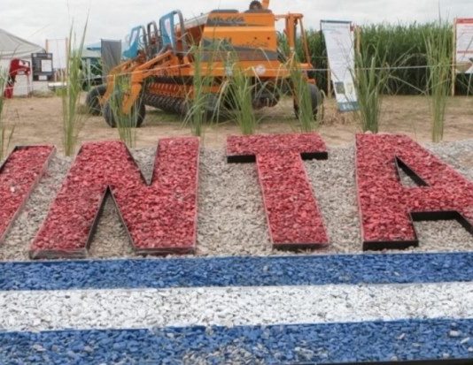 Motosierra profunda y en continuado: ahora gira hacia el INTA y la IGJ