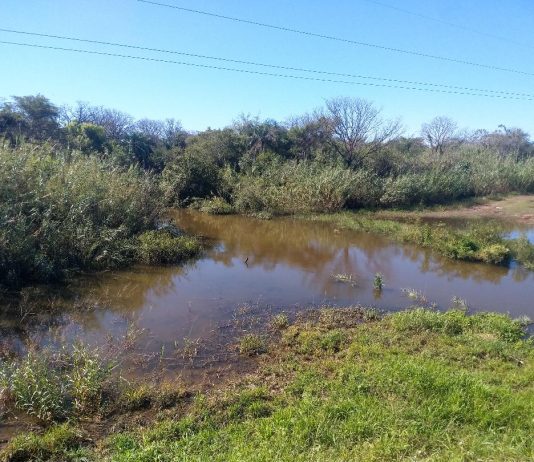 LAGUNA NAINECK: El agua de El Porteño continúa apta para riego