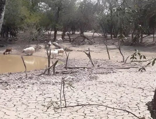 Grave advertencia sobre el agro formoseño: “Esto puede llevar al abandono de tierras”