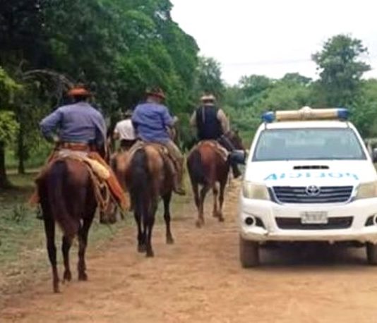 SIETE PALMAS: La Policía secuestró 34 animales vacunos sueltos en la vía pública