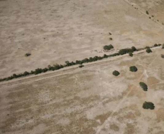 El Gobierno declaró la emergencia agropecuaria para Chaco y Santa Fe