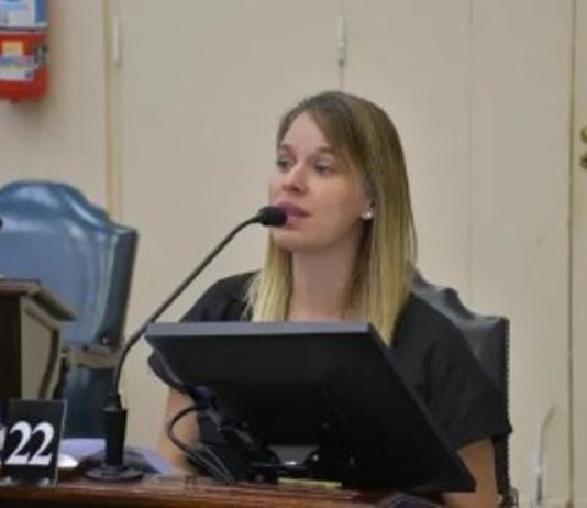 La diputada Zaiser exige la urgente adhesión de Formosa a la Ley Lucio