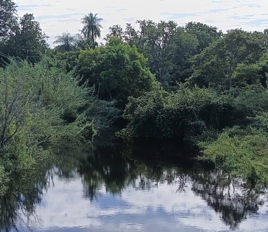 LAGUNA NAINECK: El agua de El Porteño continúa apta para riego