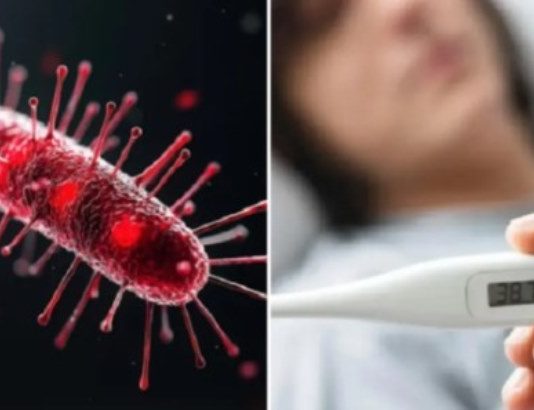 Alerta por un brote de fiebre tifoidea en Argentina: qué es y cómo se transmite