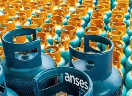 Anses confirmó el monto y fecha de pago del Programa Hogar en mayo