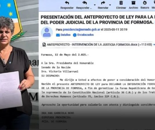 Gabriela Neme formalizó en el Senado el pedido de intervención federal a la justicia de Formosa