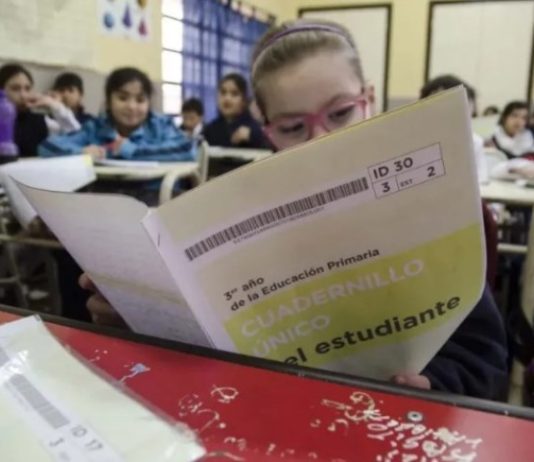 FORMOSA, PRIMERA EN LECTURA: ¿Victoria o espejismo?