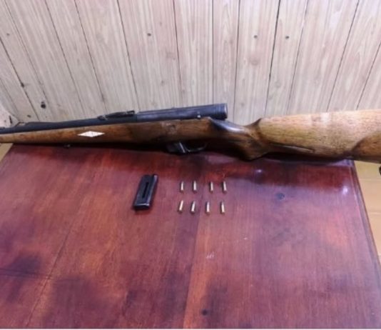 EL ESPINILLO: La Policía investiga un hecho de abuso de arma e infracción a la Ley de Protección Animal