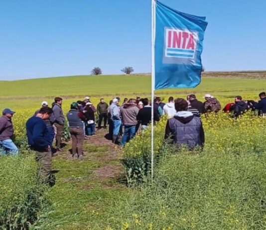 Mientras se demora el decreto “reestructurador”, el INTA cosecha más apoyos del ruralismo