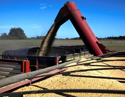 China compró por primera vez harina de soja argentina, el producto que más dólares le genera al país
