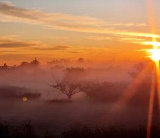 CLIMA: El invierno podría ser más cálido de lo habitual en el norte y este del país