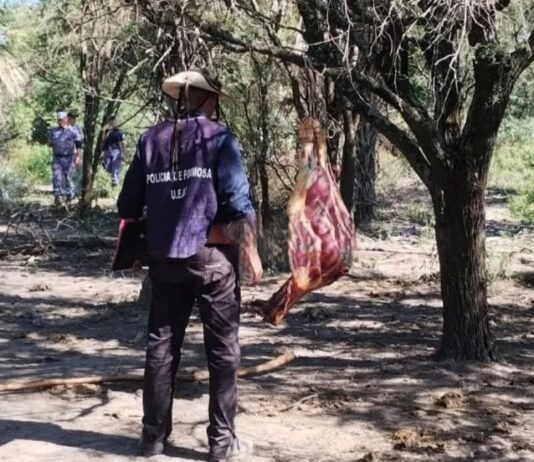 BUENA VISTA: La Policía esclareció un caso de abigeato y detuvo a uno de los implicados