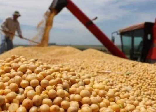 Baja de retenciones: crece el malestar del campo tras la marcha atrás del Gobierno