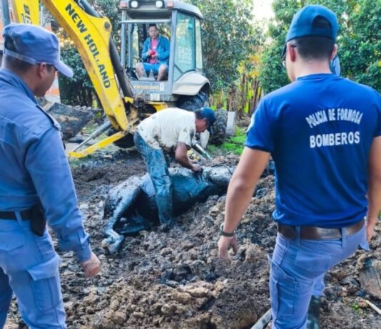 LA PRIMAVERA: Un caballo fue rescatado con vida tras caer en un pozo de gran profundidad