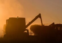 Por la guerra en Medio Oriente, el campo advierte que podrán subir hasta 11% los costos de producción del agro