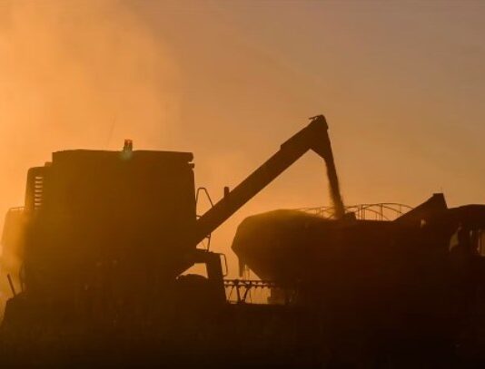 Por la guerra en Medio Oriente, el campo advierte que podrán subir hasta 11% los costos de producción del agro