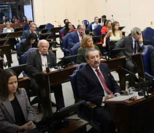 Diputados sancionó la Ley sobre el uso de los celulares en los establecimiento educativos de la Provincia