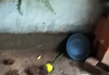 LAGUNA NAINECK: Una mujer denunció amenazas con arma blanca y agresión frente a su domicilio