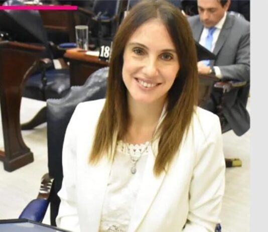 Agostina Villaggi encabeza una de las dos listas para las internas partidarias y propone una renovación en la UCR de Formosa