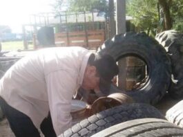 Dengue: Reiteraron recomendaciones ante el aumento de mosquitos tras las lluvias