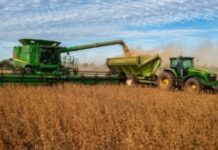 Las exportaciones de Formosa cayeron 16,6% y muestran el peor desempeño del país