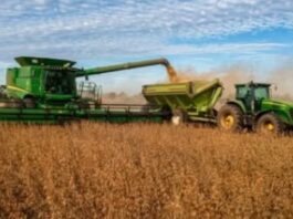 Las exportaciones de Formosa cayeron 16,6% y muestran el peor desempeño del país