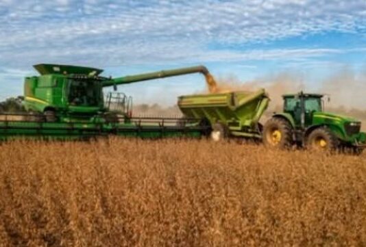 Las exportaciones de Formosa cayeron 16,6% y muestran el peor desempeño del país