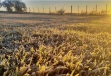 El pronóstico para este martes: Se afianza el aire frío y crece el riesgo de heladas
