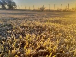 El pronóstico para este martes: Se afianza el aire frío y crece el riesgo de heladas