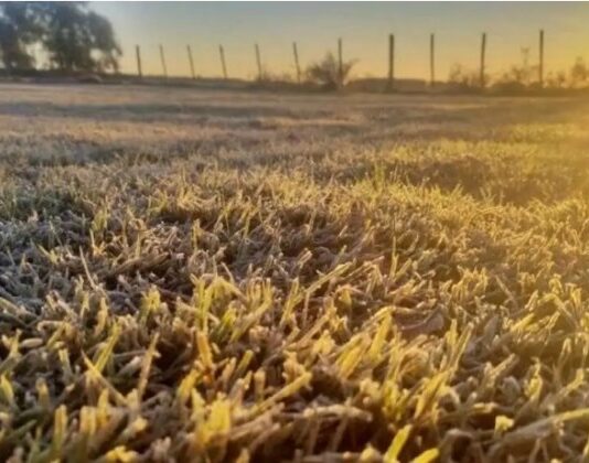 El pronóstico para este martes: Se afianza el aire frío y crece el riesgo de heladas