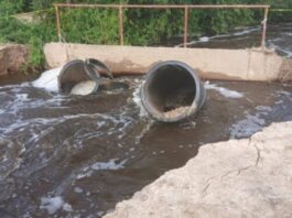 INUNDACIONES: Familias están aisladas y los productores en crisis en Colonia San Juan