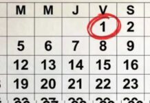 Calendario de feriados: cuándo es el próximo fin de semana largo