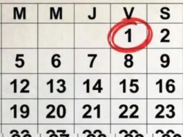 Calendario de feriados: cuándo es el próximo fin de semana largo
