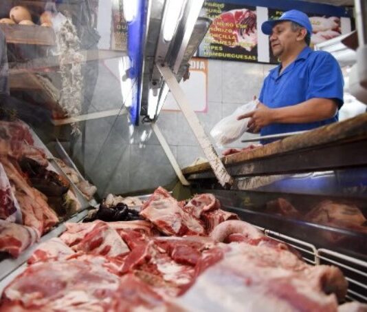El Gobierno calificó como “operación” mediática a la supuesta venta de carne de burro