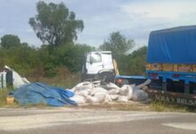 Tragedia en la Ruta 81: cinco integrantes de una familia murieron en un choque frontal