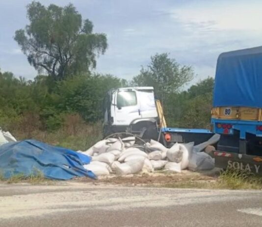 Tragedia en la Ruta 81: cinco integrantes de una familia murieron en un choque frontal