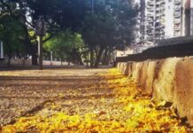 El pronóstico para este miércoles: El clima otoñal se mantiene en el país