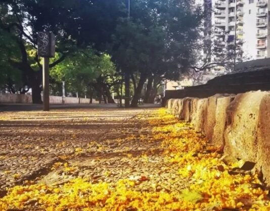 El pronóstico para este miércoles: El clima otoñal se mantiene en el país