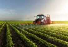 El agro rompió todos los techos y volvió a empujar la economía