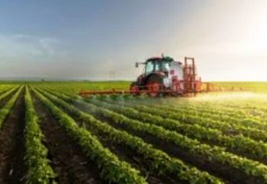 El agro rompió todos los techos y volvió a empujar la economía