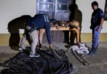 RIACHO HE HE: Secuestraron carne vacuna durante la investigación de un caso de abigeato