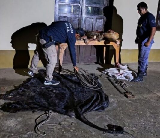 RIACHO HE HE: Secuestraron carne vacuna durante la investigación de un caso de abigeato