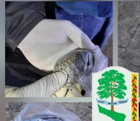 TRES LAGUNAS: Un joven intentó evadir un control policial y fue detenido con marihuana en su poder