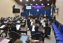 Escándalo, censura y violencia política en la Legislatura: insultos, acusaciones de «falopero, hijo de p…, cómplice de la dictadura»
