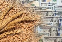Agrodólares: el campo proyecta un ingreso de más de u$s36.000 millones en 2026 por exportaciones