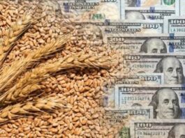 Agrodólares: el campo proyecta un ingreso de más de u$s36.000 millones en 2026 por exportaciones