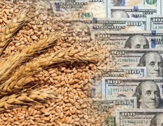 Agrodólares: el campo proyecta un ingreso de más de u$s36.000 millones en 2026 por exportaciones