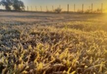 El pronóstico para el martes: Amanecer frío, con despliegue de heladas