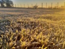 El pronóstico para el martes: Amanecer frío, con despliegue de heladas