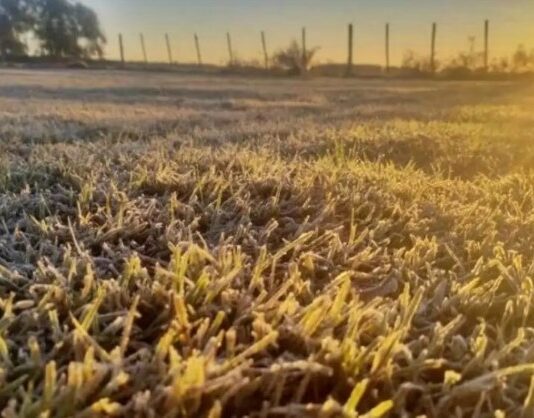 El pronóstico para el martes: Amanecer frío, con despliegue de heladas